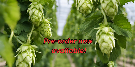 Embrace Spring: Pre-Order Your Potted Hop Plants Today!