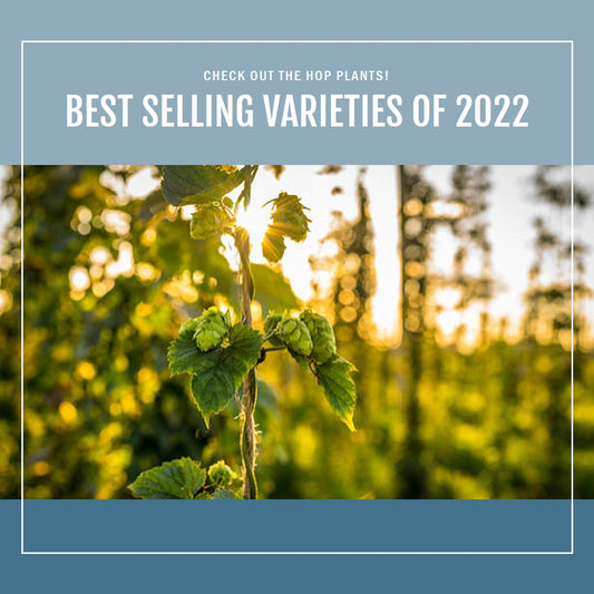Best Selling Varieties Of 2022