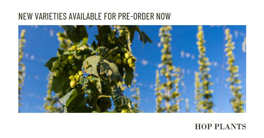 New Varieties Available For Pre-Order