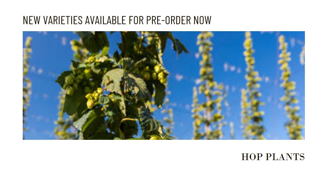 New Varieties Available For Pre-Order