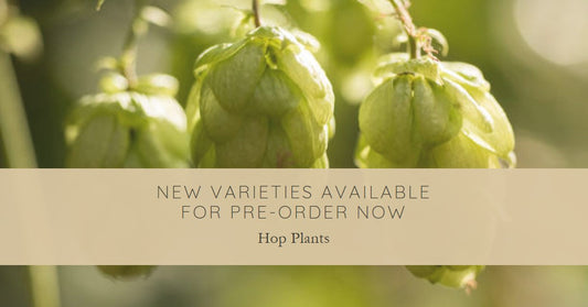 New Varieties Available For Pre-Order