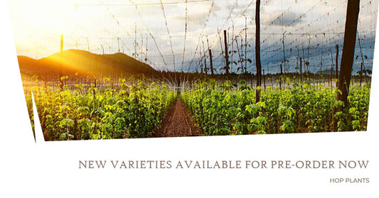 New Varieties Available For Pre-Order