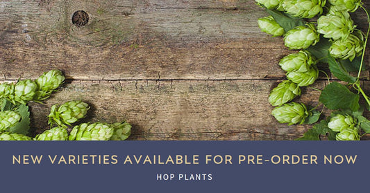 New Varieties Available For Pre-Order