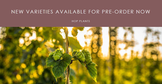 New Varieties Available For Pre-Order