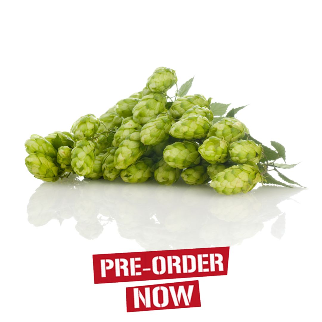 Cascade Hop Plant