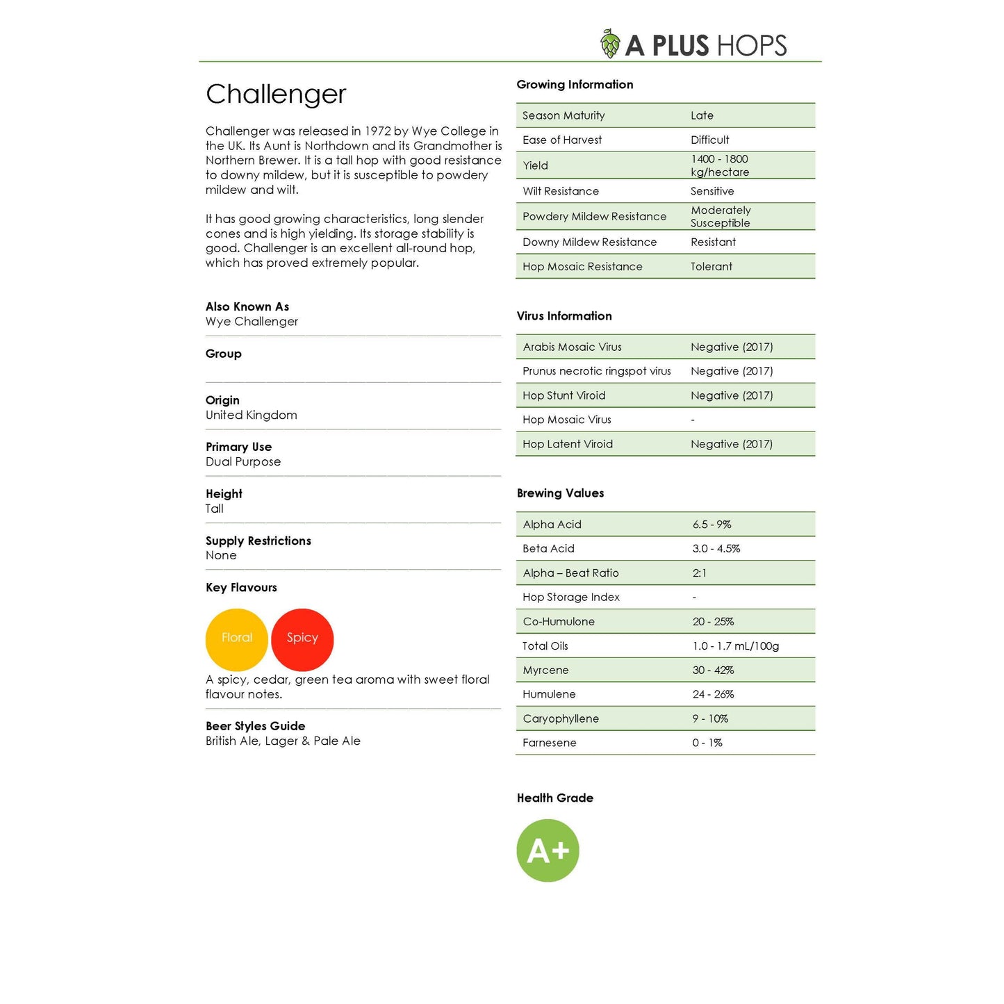 Challenger Hop Plant