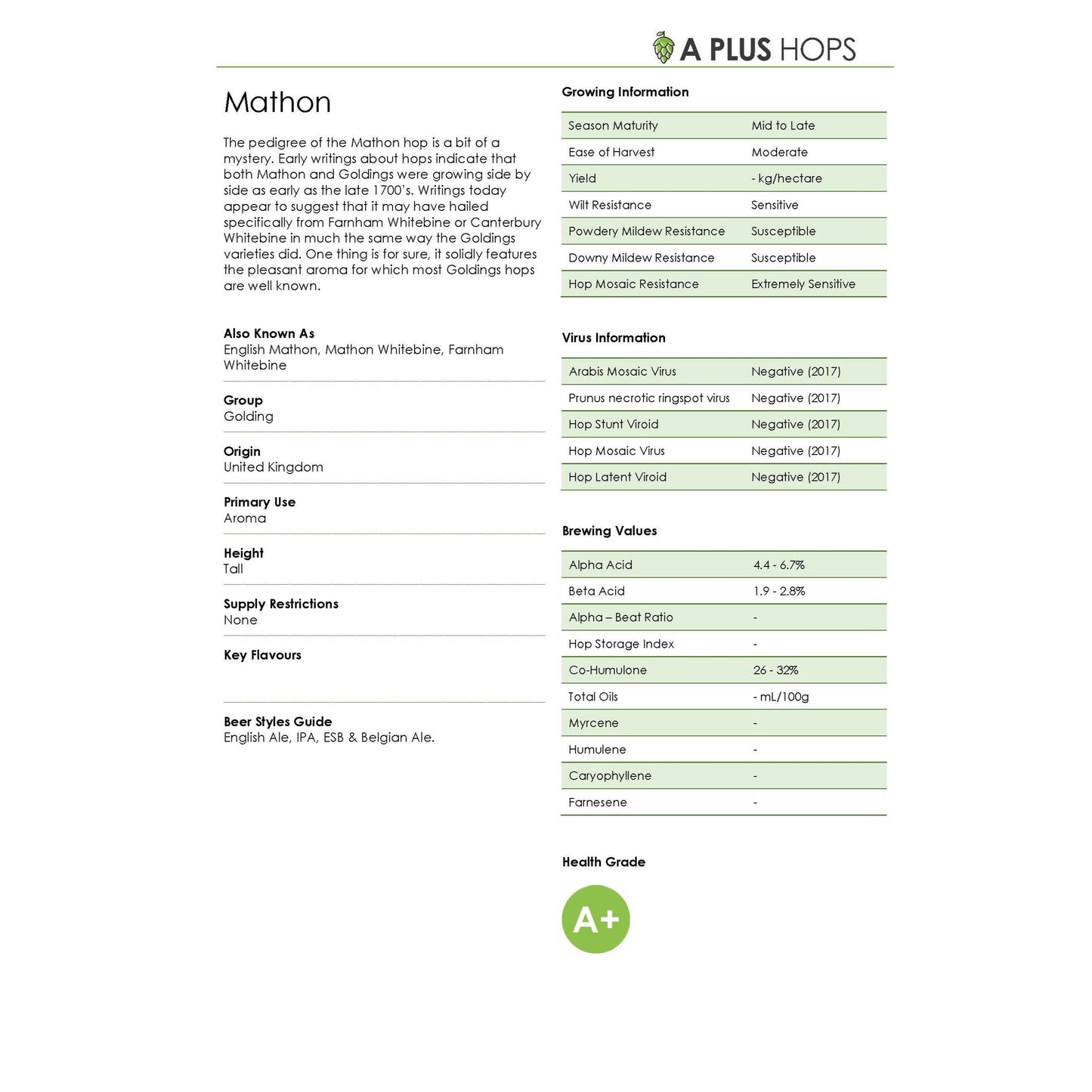 Mathon Hop Plant