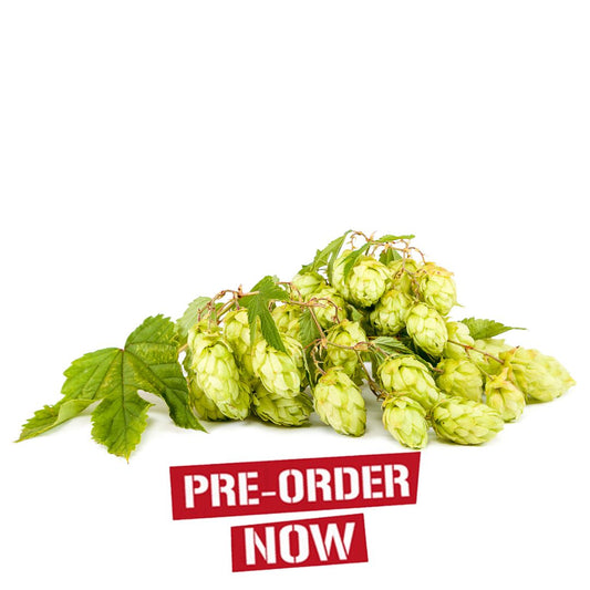 Spalter Select Hop Plant