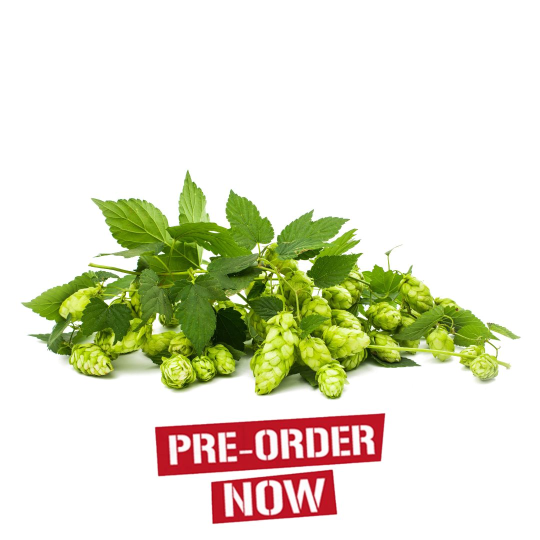 Target Hop Plant