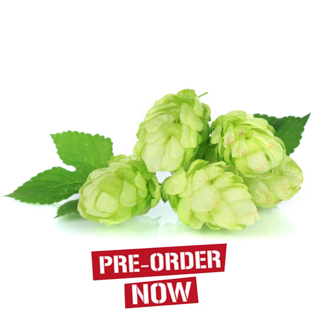 Triple Pearl Hop Plant