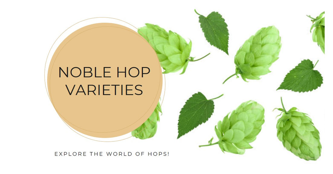 Noble Hop Plant Varieties