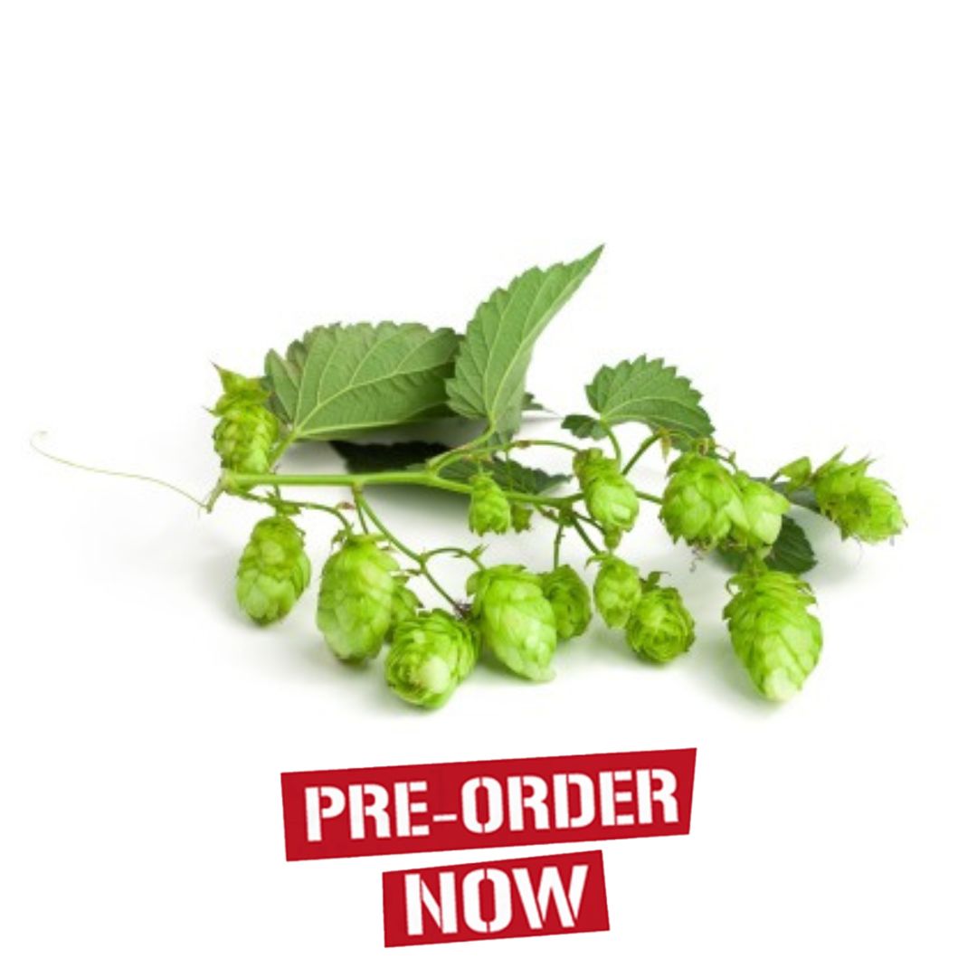 A Plus Hops