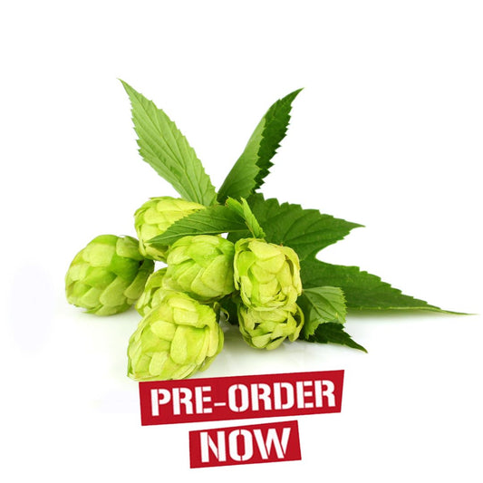 Bramling Hop Plant