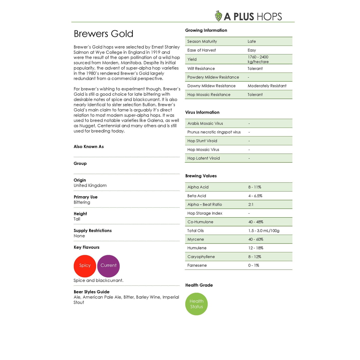 Brewer's Gold Hop Plant