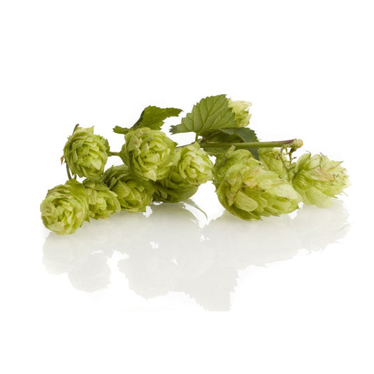 Bullion Hop Plant