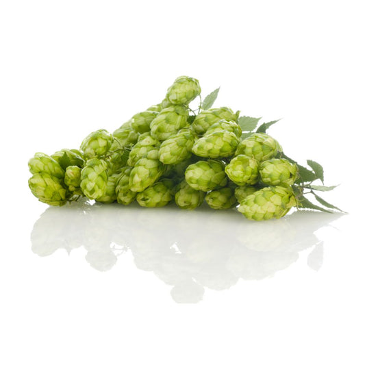Cascade Hop Plant