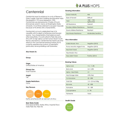 Centennial Hop Plant
