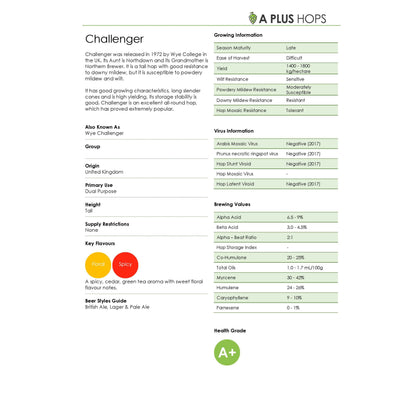 Challenger Hop Plant