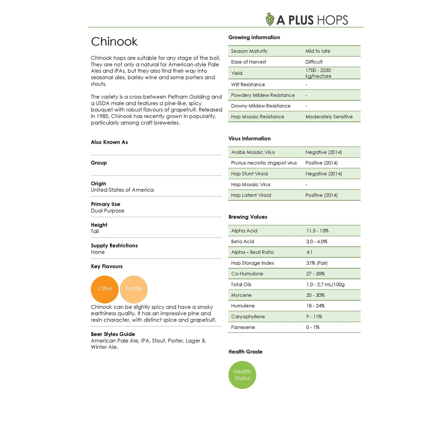 Chinook Hop Plant