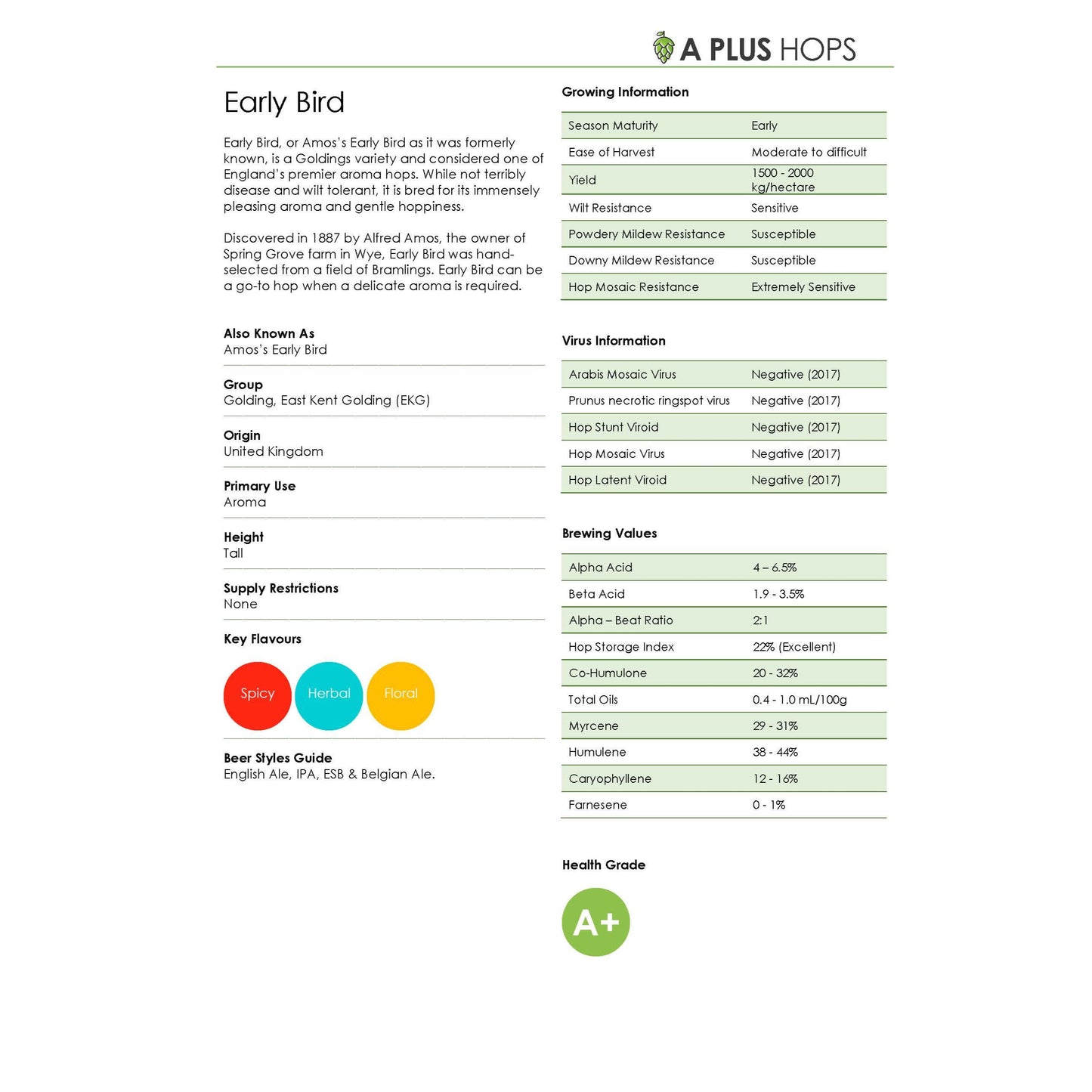 Early Bird Hop Plant