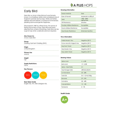 Early Bird Hop Plant