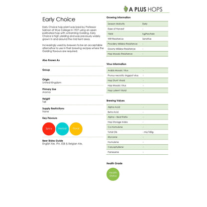 Early Choice Hop Plant