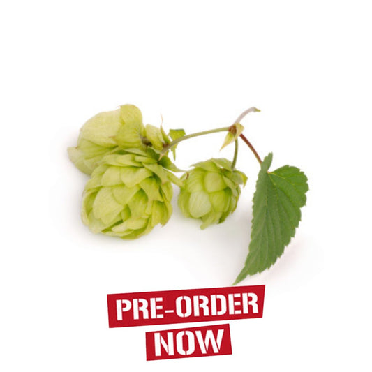 Epic Hop Plant