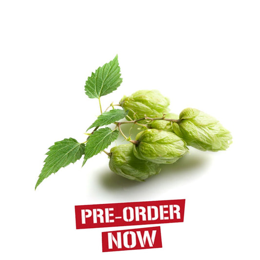 Eroica Hop Plant