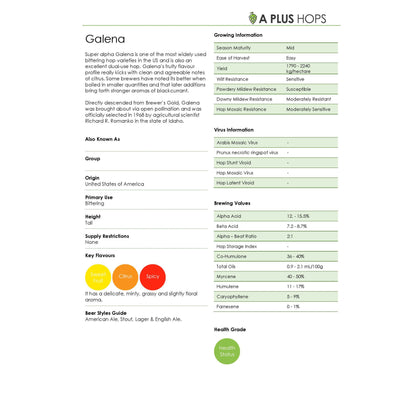 Galena Hop Plant