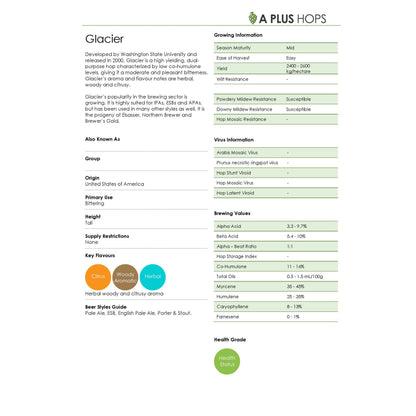 Glacier Hop Plant