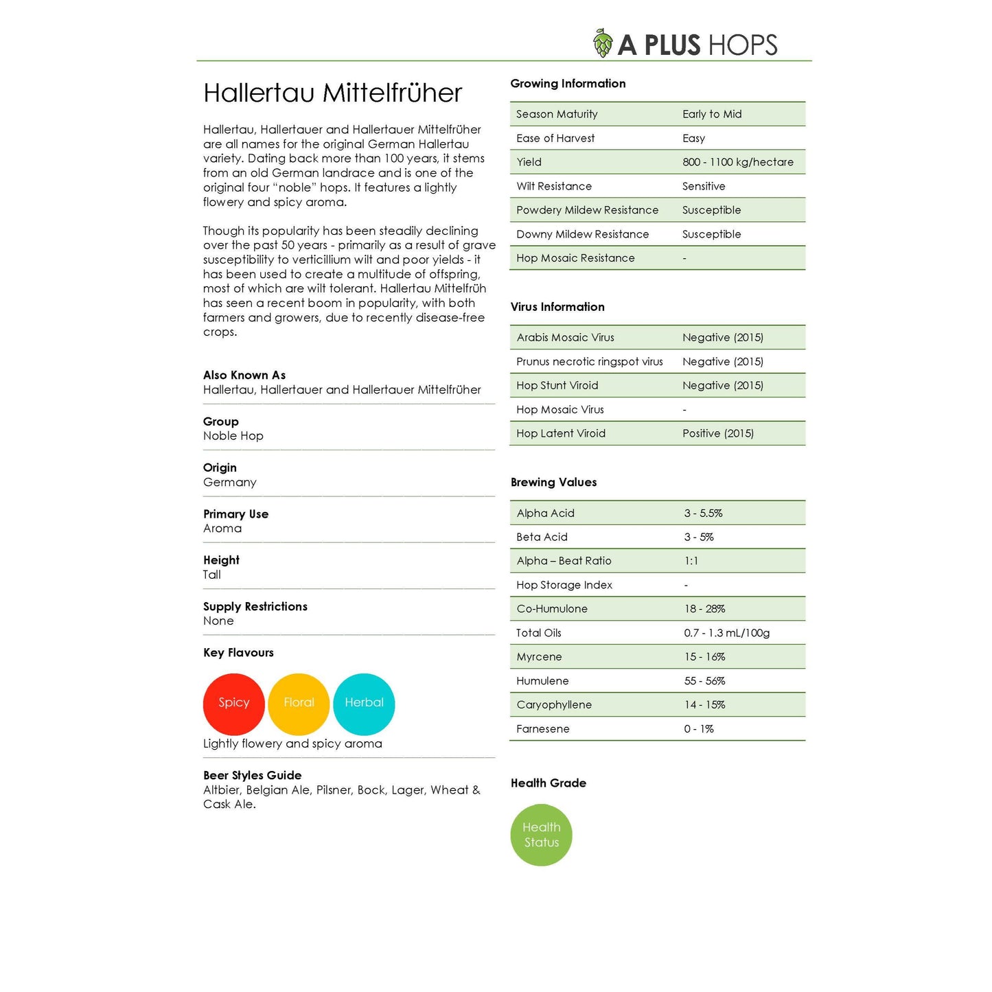 Hallertau Mittelfrüh Hop Plant