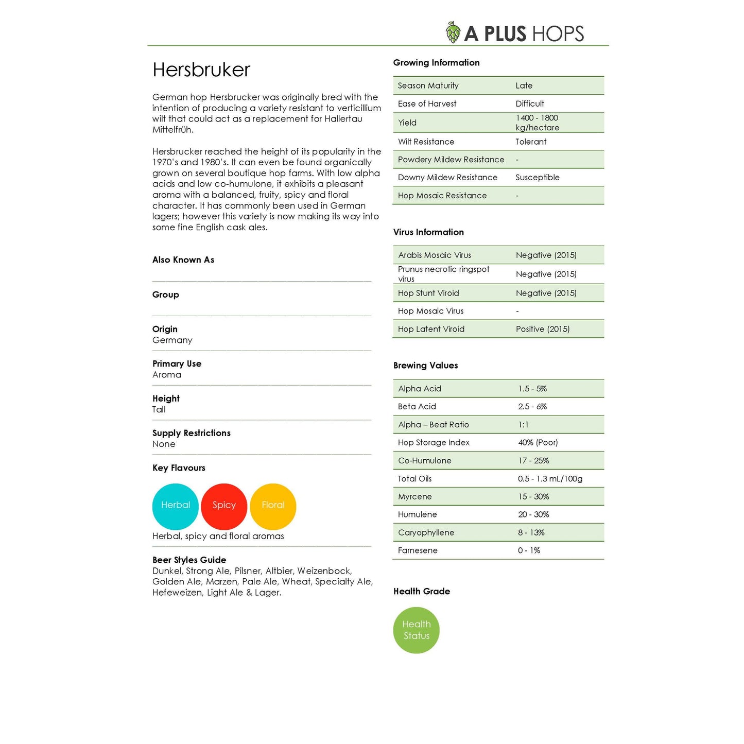 Hersbrucker Hop Plant