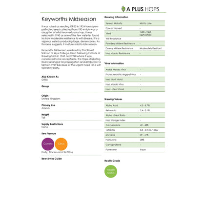 Keyworths Midseason Hop Plant