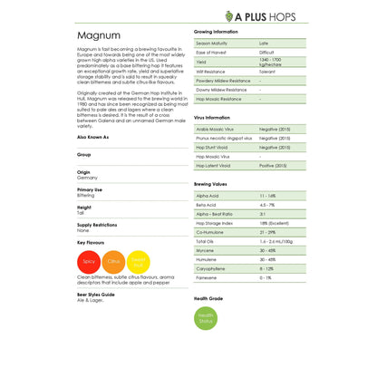 Magnum Hop Plant