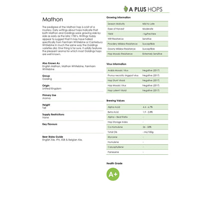 Mathon Hop Plant