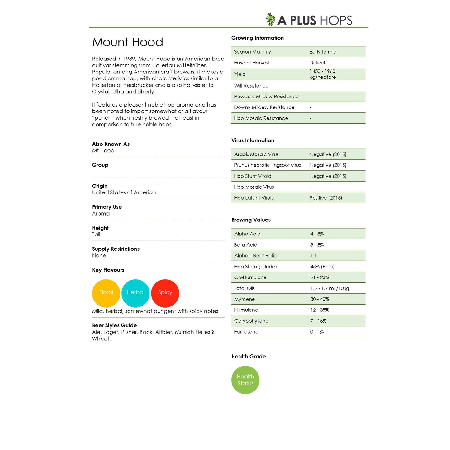 Mount Hood Hop Plant