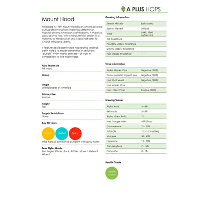 Mount Hood Hop Plant