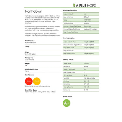 Northdown Hop Plant