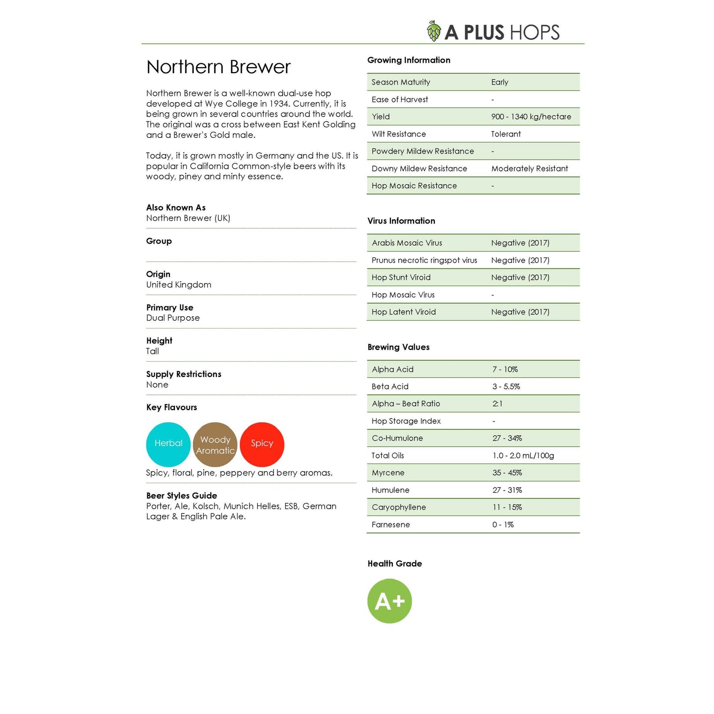 Northern Brewer Hop Plant