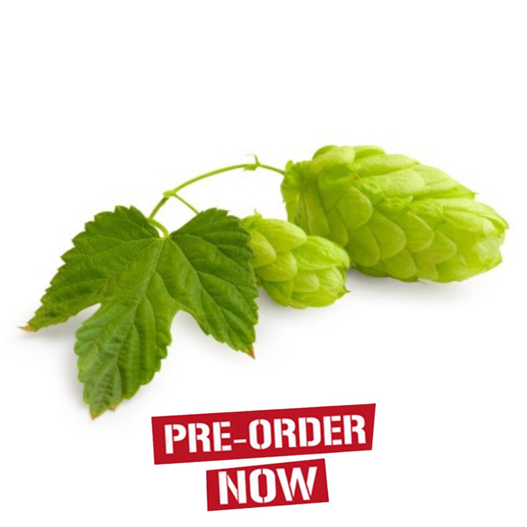 Notts Eastwell Hop Plant