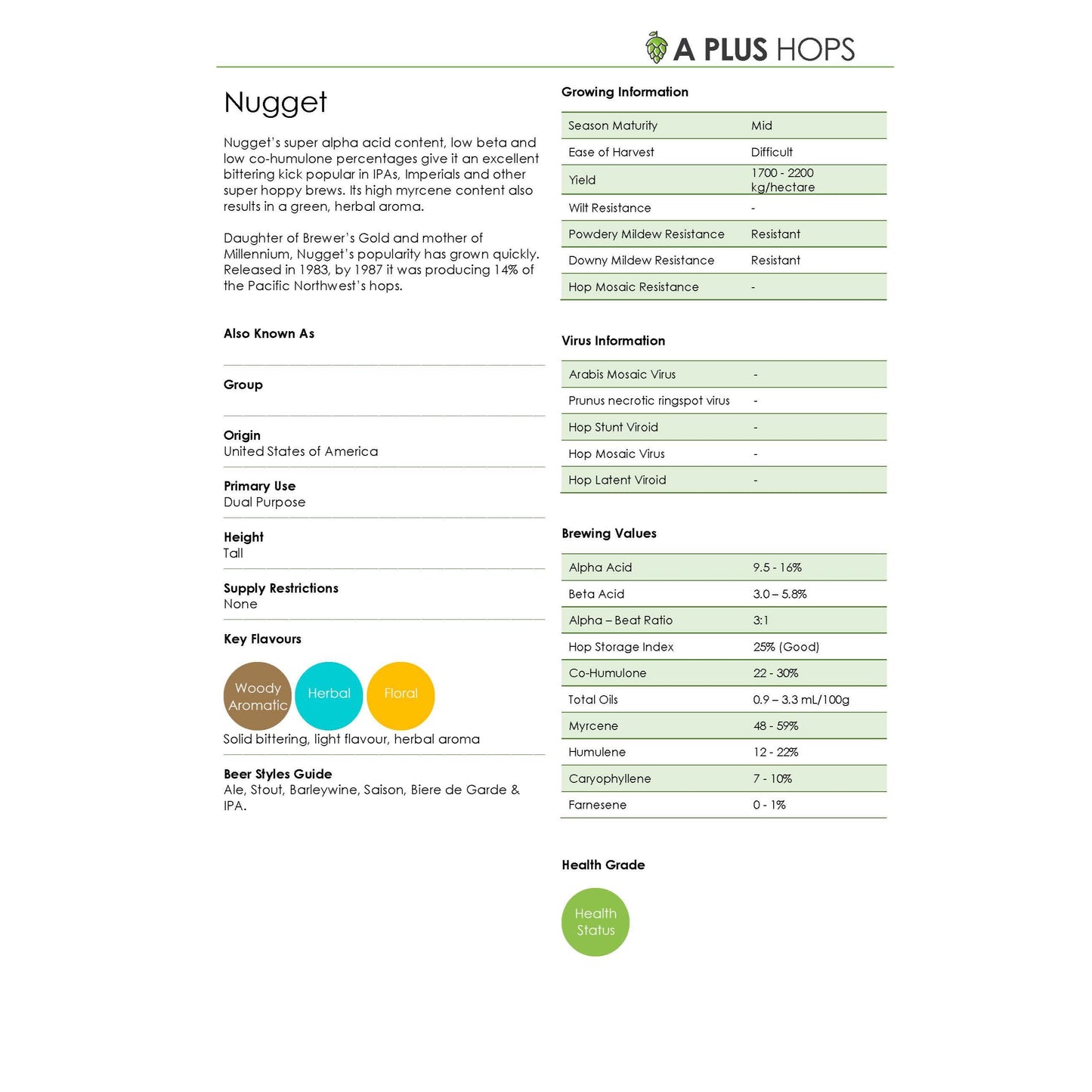 Nugget Hop Plant