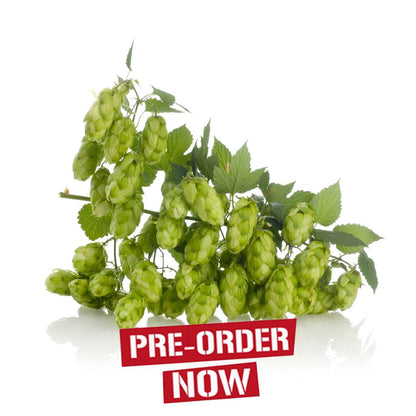 Omega Hop Plant