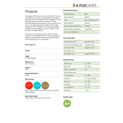 Phoenix Hop Plant