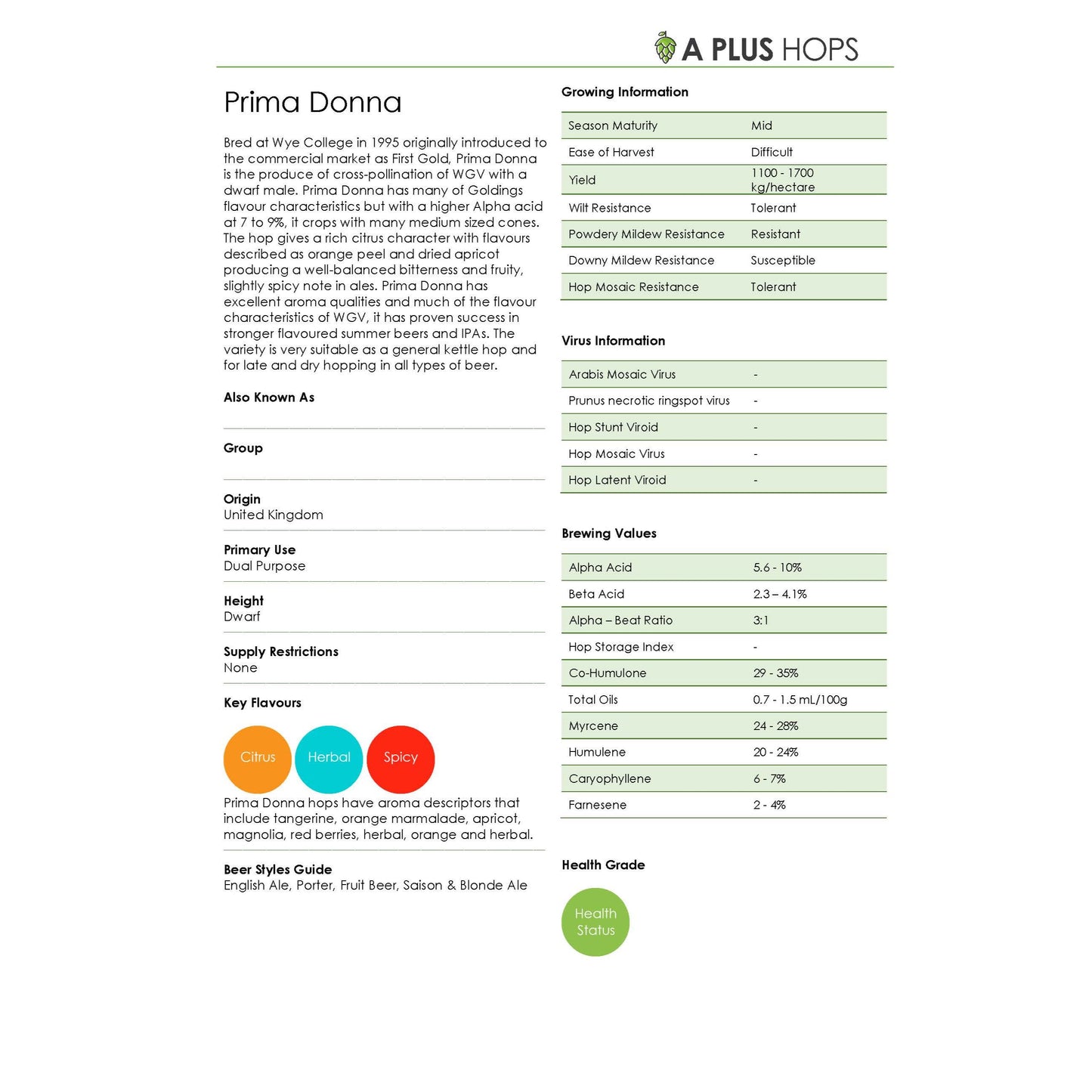 Prima Donna Hop Plant