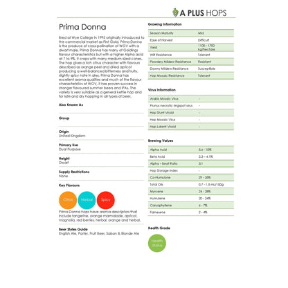 Prima Donna Hop Plant