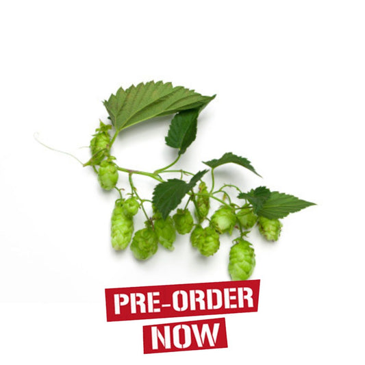 Record Hop Plant