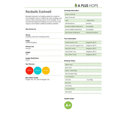 Redsells Eastwell Hop Plant