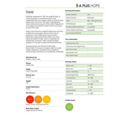Saaz Hop Plant