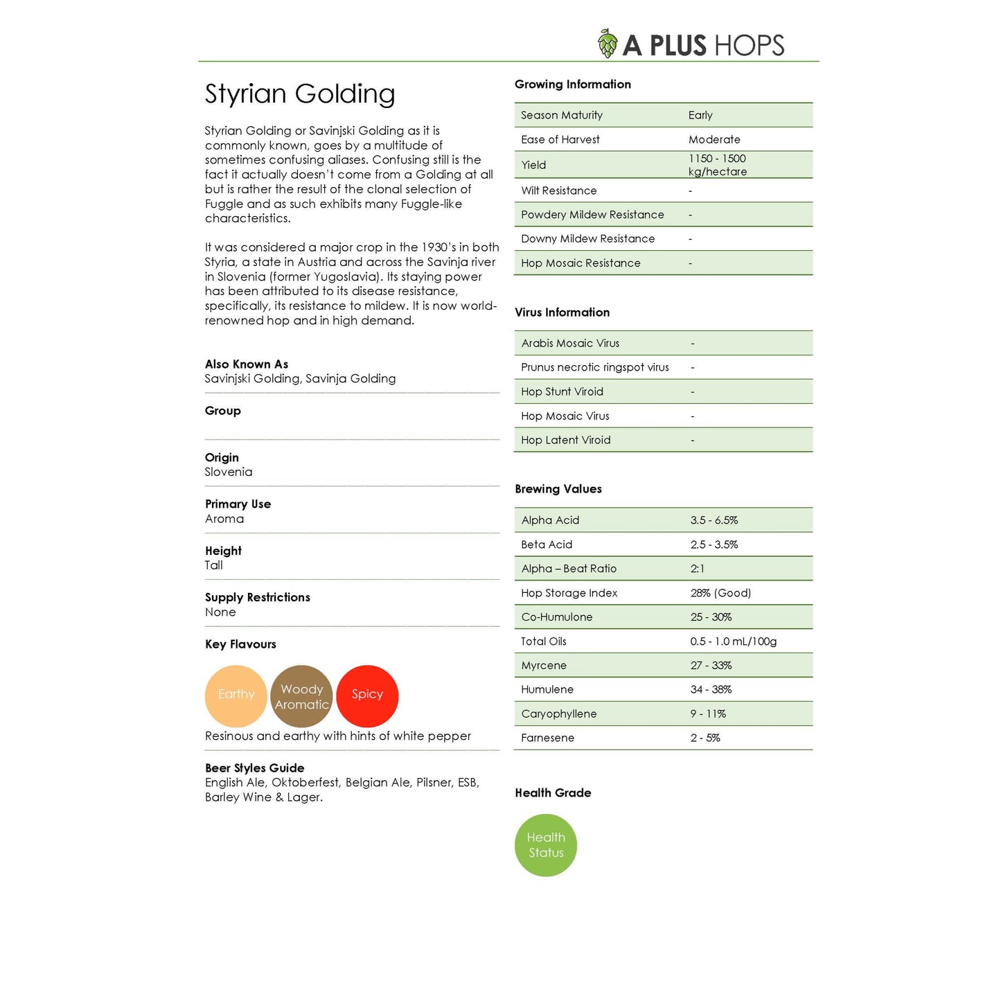 Styrian Golding Hop Plant
