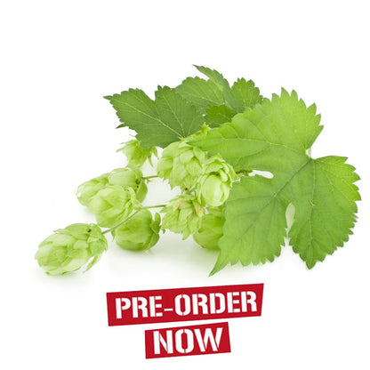 Teamaker Hop Plant